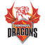 Dindigul Dragons Flag
